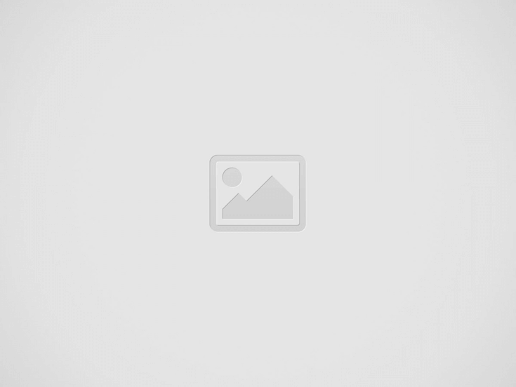 youtube video indir