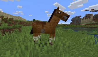 Minecraft Eyer Yapımı