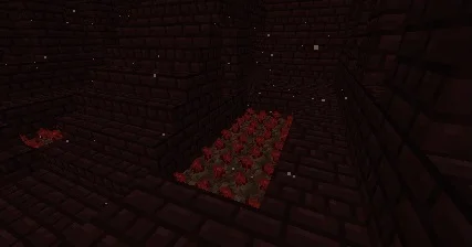 nether wart 1.jpg