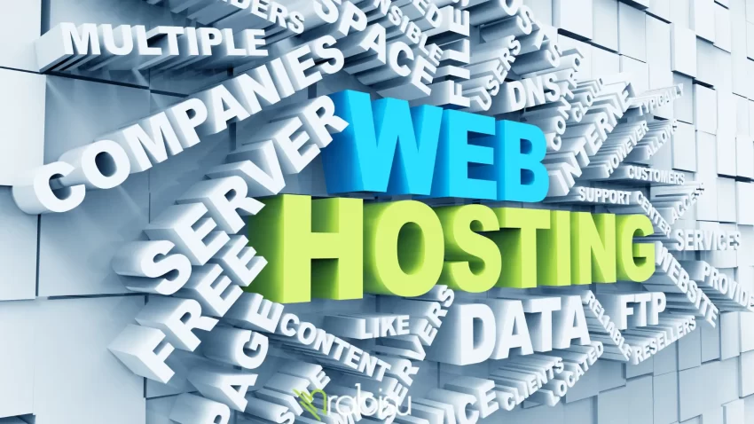 Hosting Nedir?