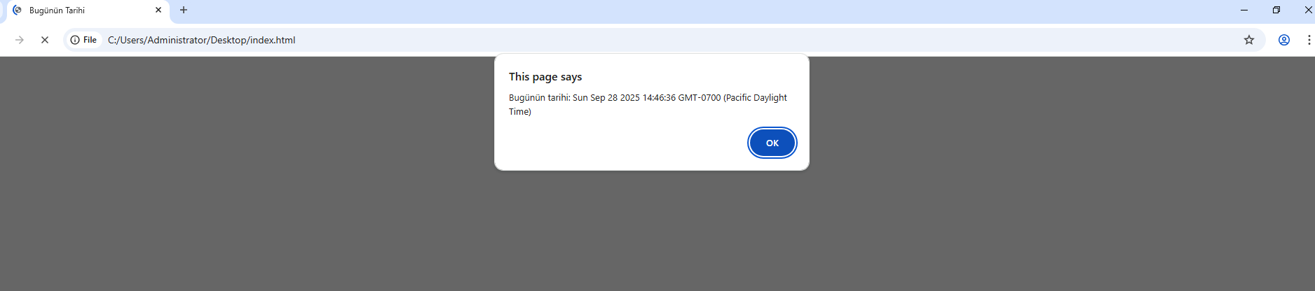 JS ile Uyarı Ekranı 