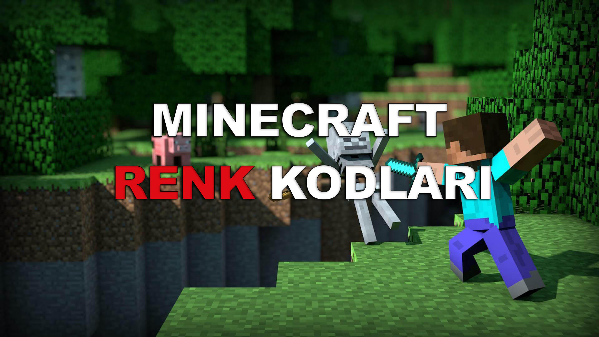 Minecraft Renk Kodları Nelerdir?