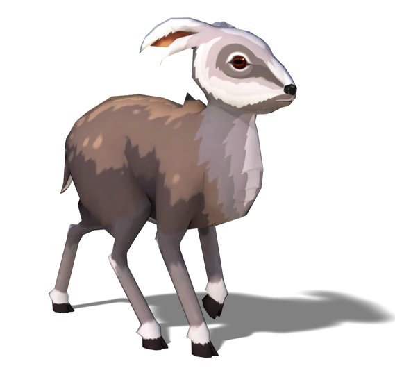 Game Server Character