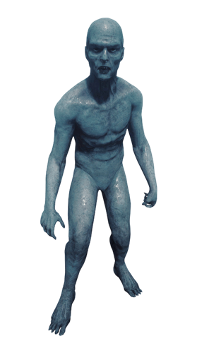 Game Server Character