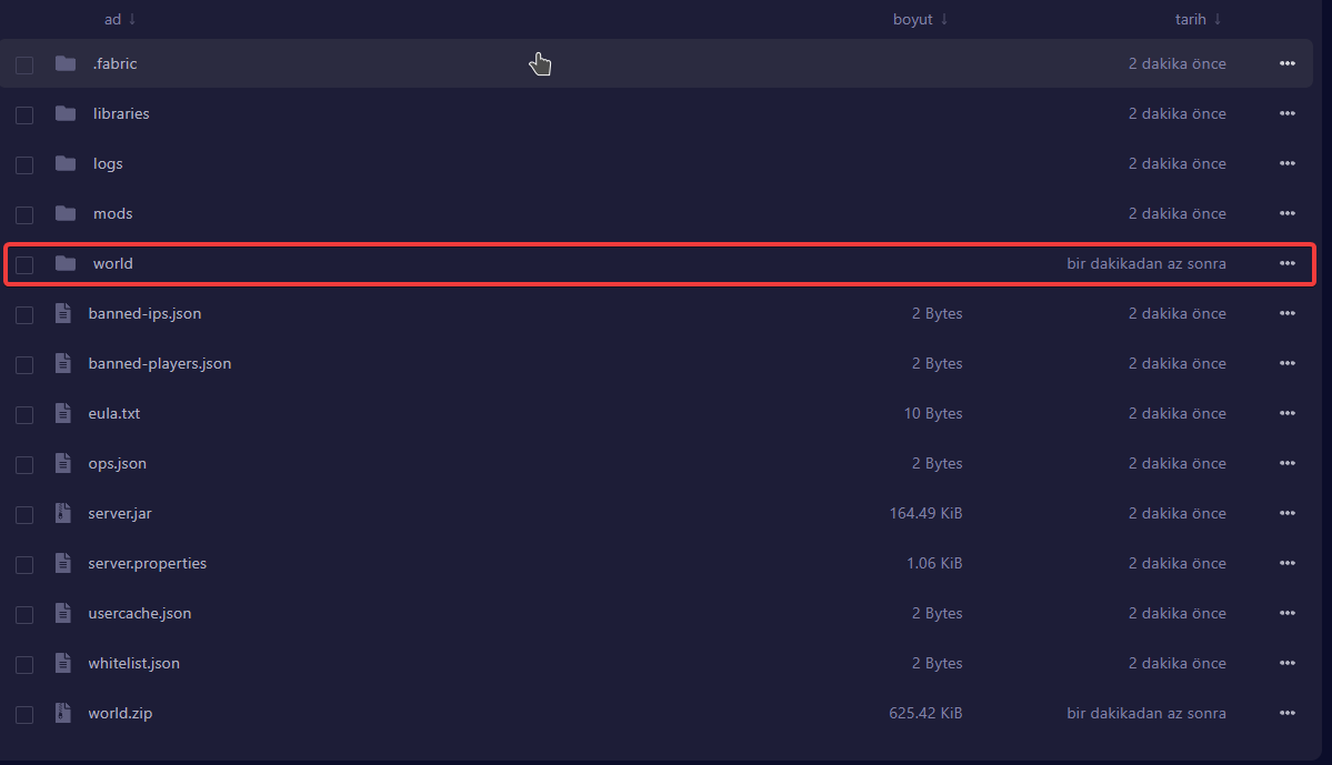 Sunucu Başlatıldı