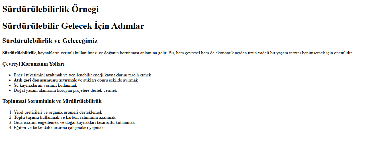 Temel HTML Görünümü